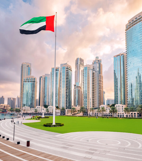 Thành Lập Công Ty Tại Khu Vực Thương Mại Tự Do (Free Zone) UAE: Giải Pháp Tối Ưu Hóa Thuế Cho Doanh Nghiệp Quốc Tế